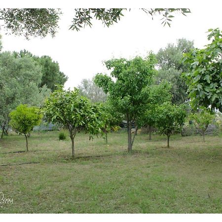 הוילה Su Forti Il Giardino Di Rosy מראה חיצוני תמונה