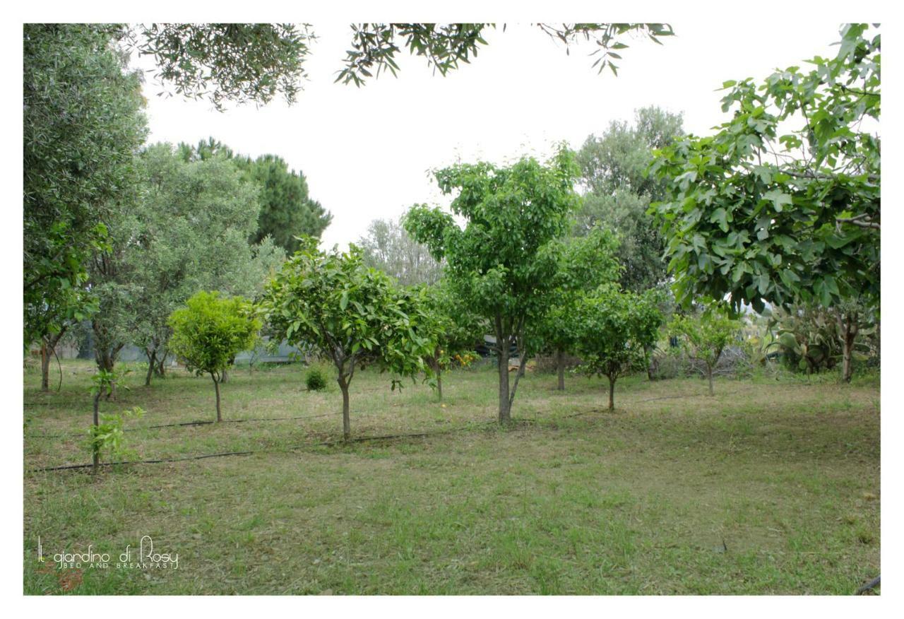 הוילה Su Forti Il Giardino Di Rosy מראה חיצוני תמונה